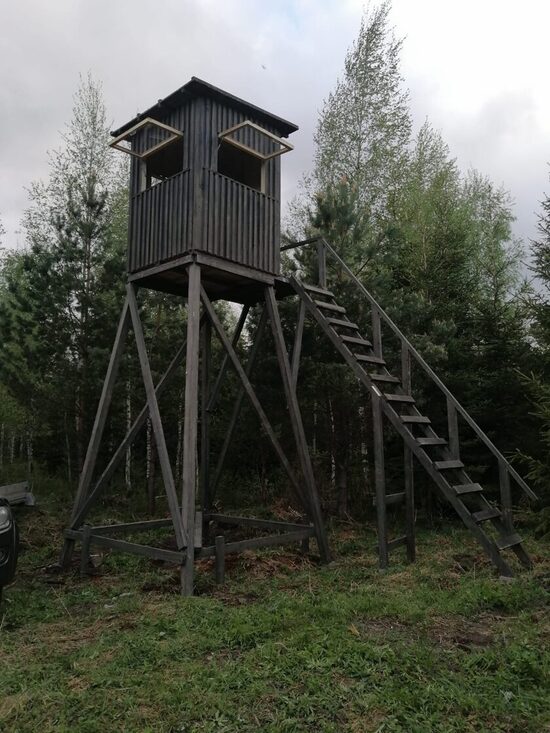 SLĒGTIE MEDĪBU TORŅI